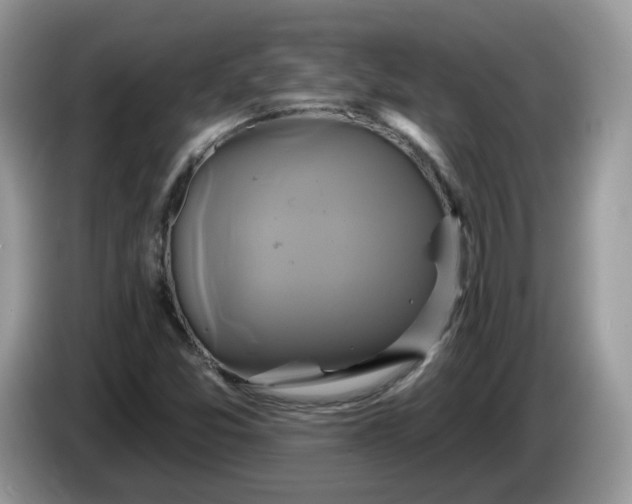 X0000086221357200704121849