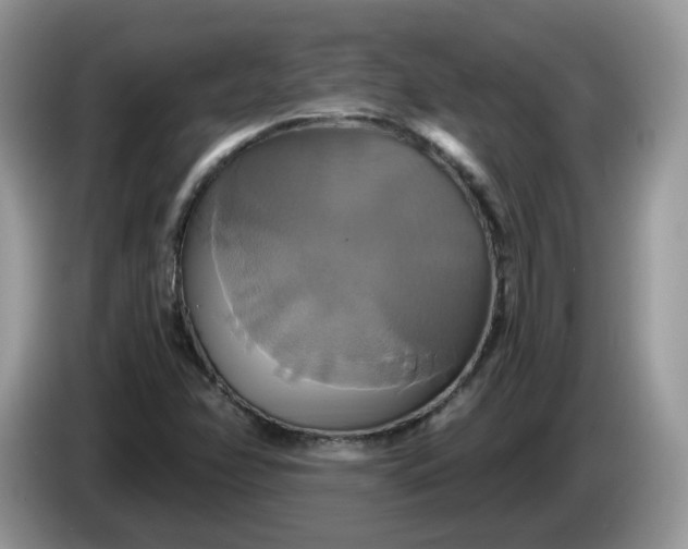 X0000086221358200704121849