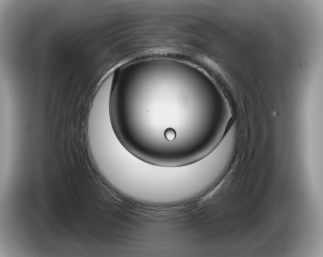 X0000086221361200704121849