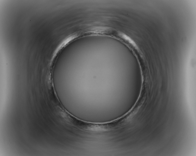 X0000086221362200704121849