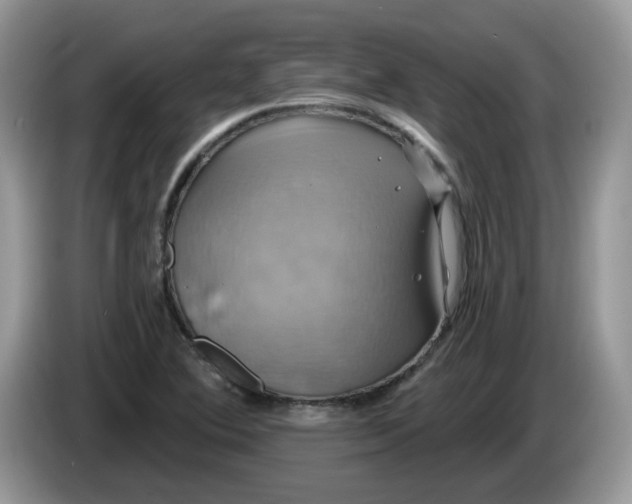 X0000086221364200704121849