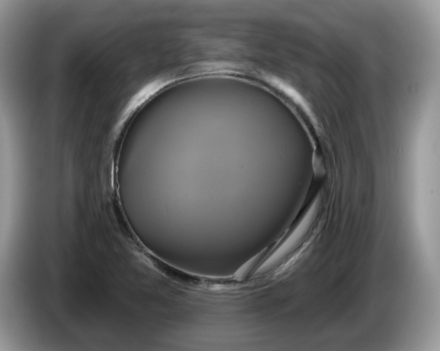 X0000086221365200704121849