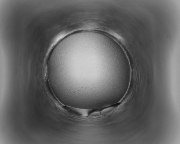 X0000086221366200704121849