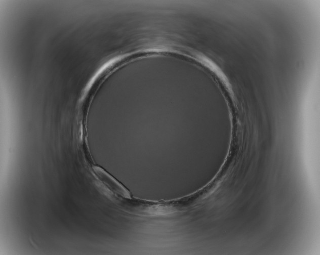 X0000086221368200704121849