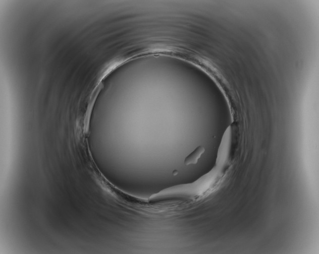 X0000086221369200704121849