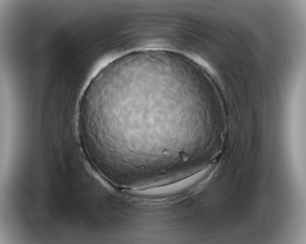 X0000086221374200704121849