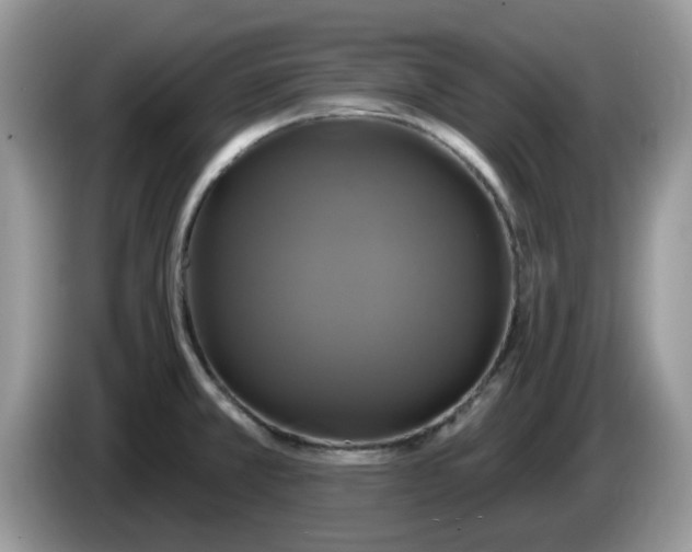 X0000086221381200704121849