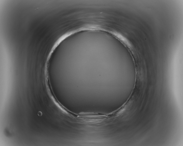 X0000086221382200704121849