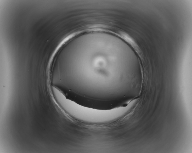 X0000086221384200704121849