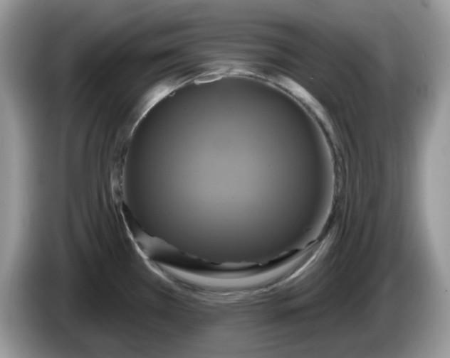 X0000086221385200704121849