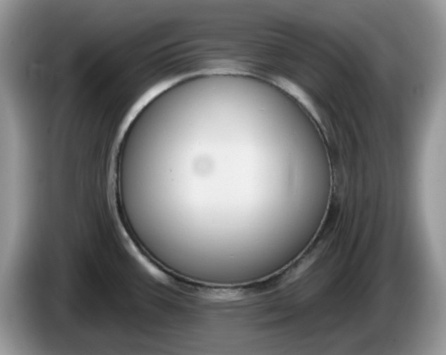 X0000086221387200704121849