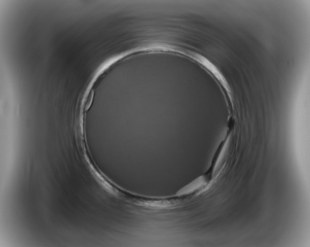 X0000086221388200704121849