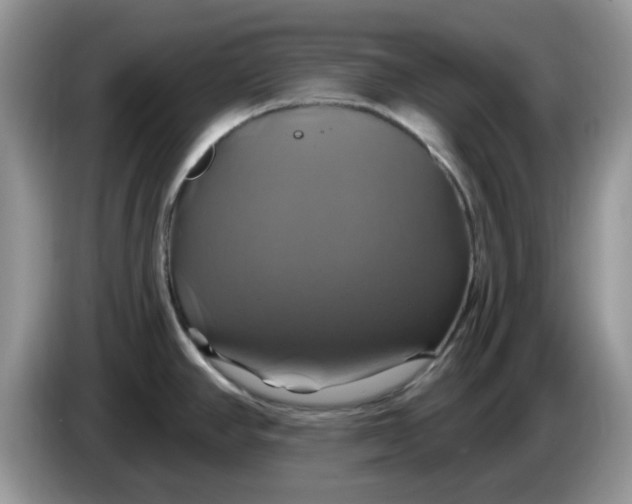 X0000086221390200704121849