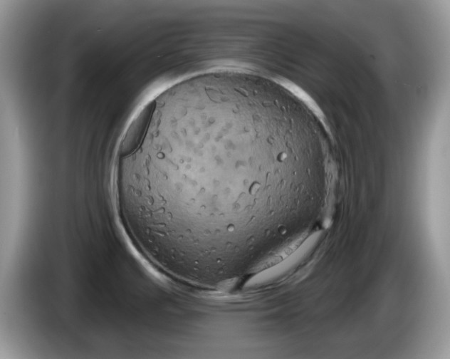 X0000086221391200704121849