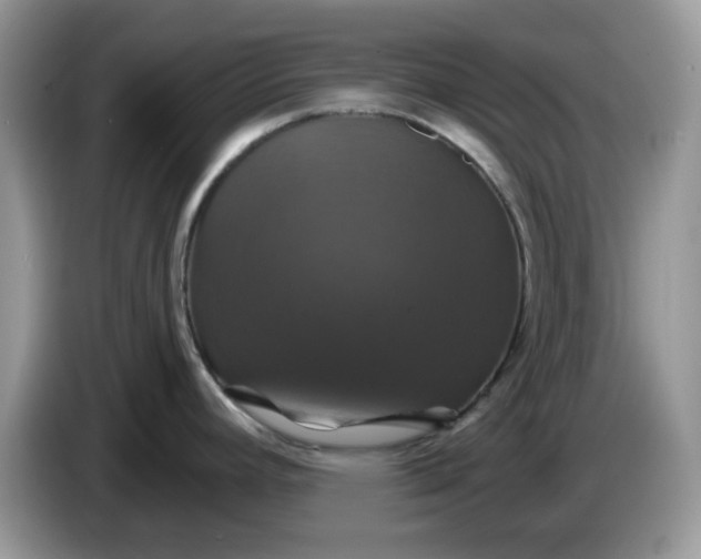 X0000086221392200704121849