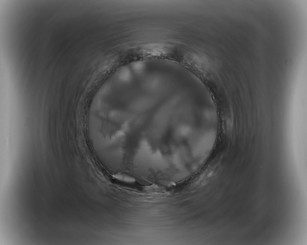 X0000086221393200704121848