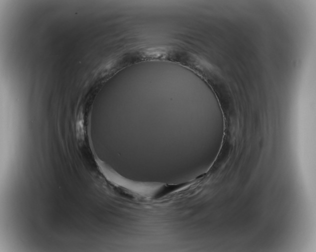 X0000086221394200704121848