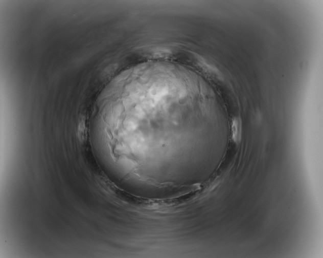 X0000086221395200704121848