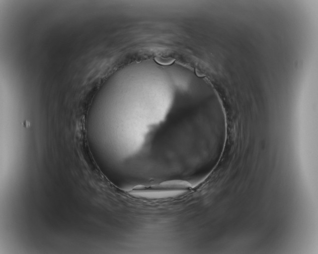 X0000086221397200704121848