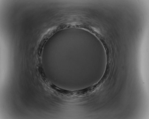 X0000086221398200704121848