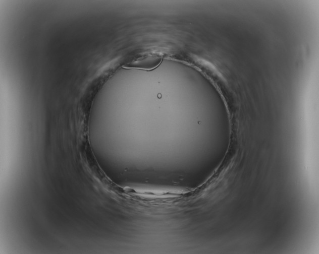 X0000086221399200704121848