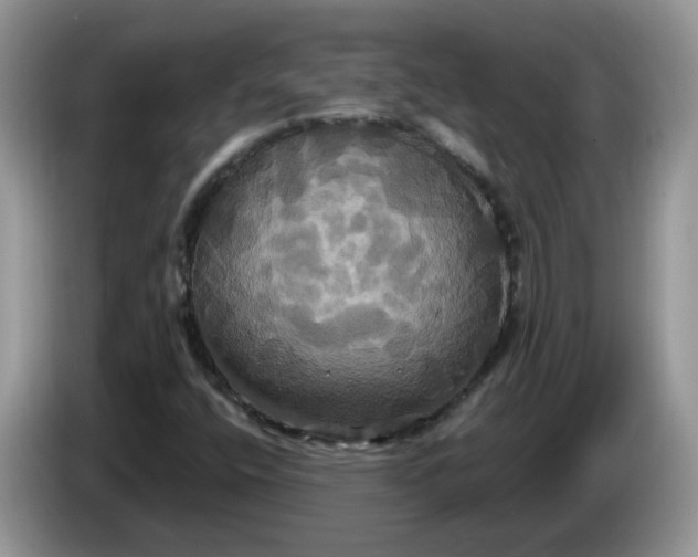 X0000086221400200704121848