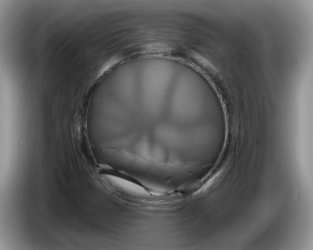 X0000086221401200704121848