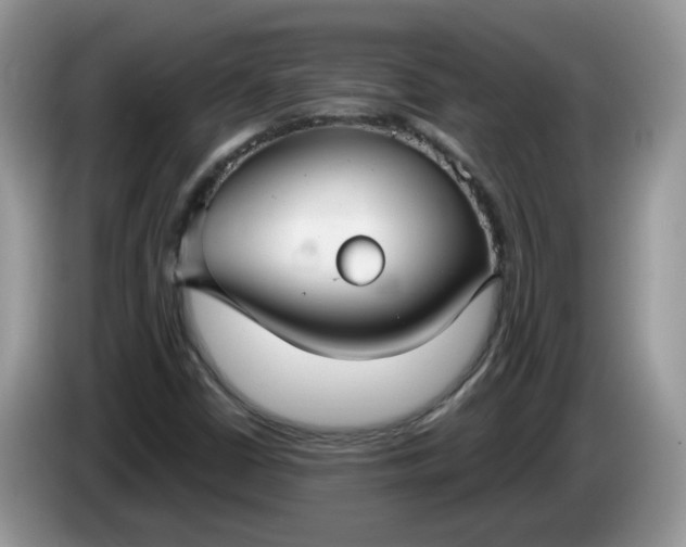 X0000086221402200704121848