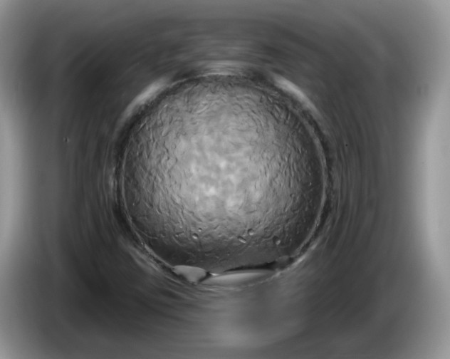 X0000086221403200704121848