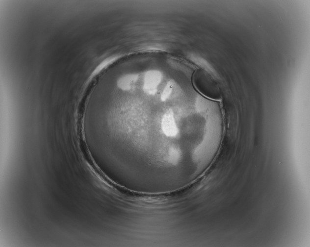 X0000086221404200704121848