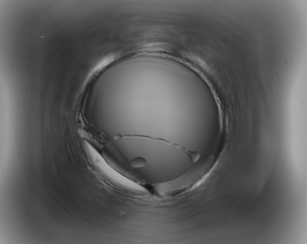 X0000086221405200704121848