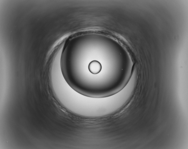 X0000086221406200704121848