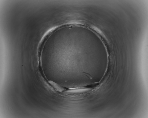 X0000086221408200704121848