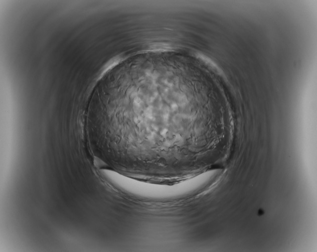 X0000086221409200704121848