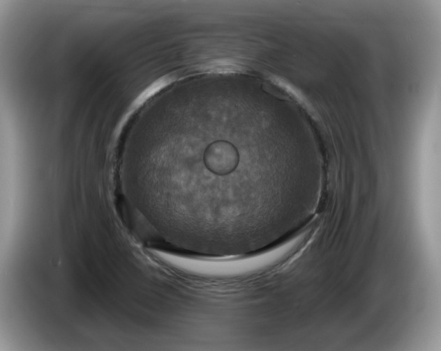 X0000086221410200704121848