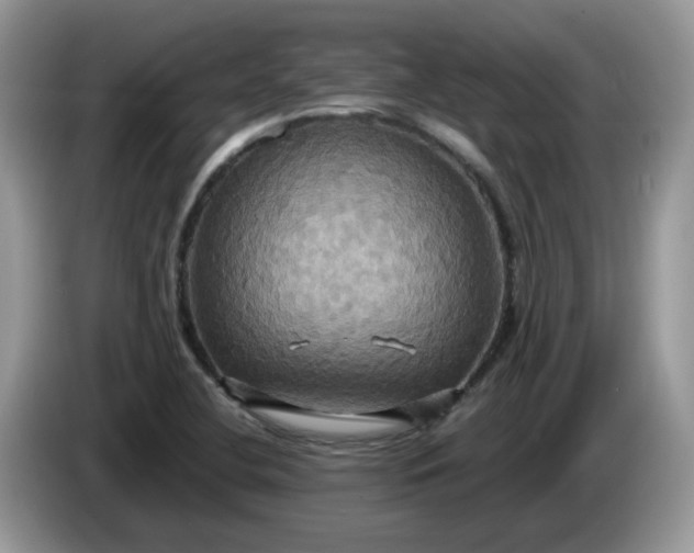 X0000086221412200704121849