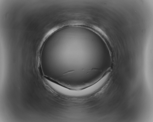 X0000086221413200704121849