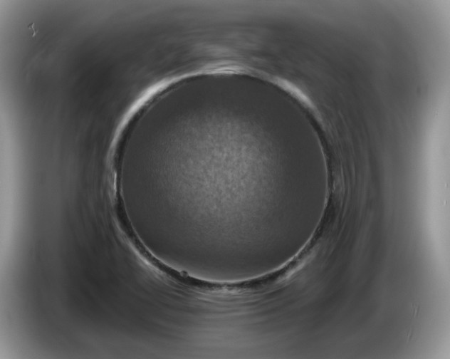 X0000086221414200704121849