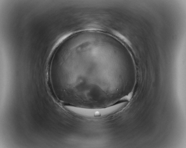 X0000086221415200704121849