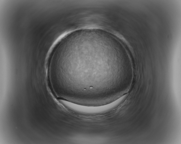 X0000086221416200704121849