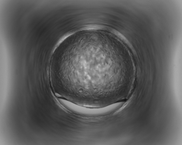 X0000086221417200704121849