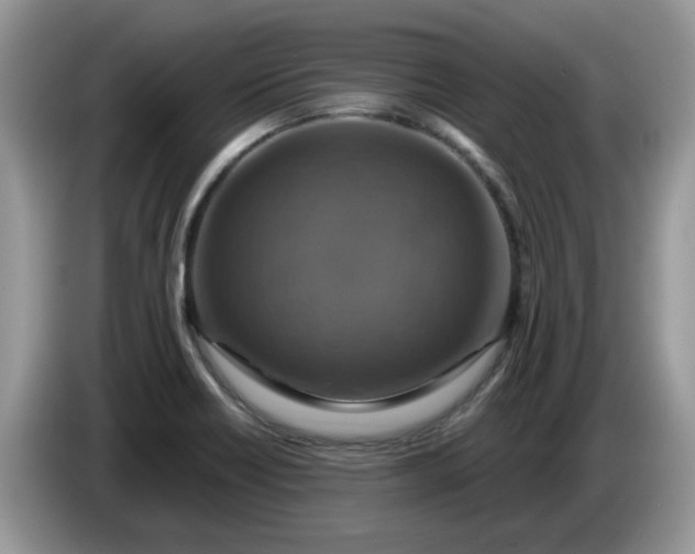 X0000086221418200704121849