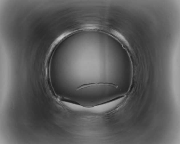 X0000086221419200704121849