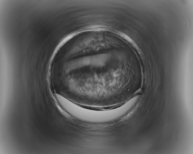 X0000086221421200704121849