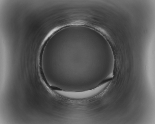 X0000086221422200704121849