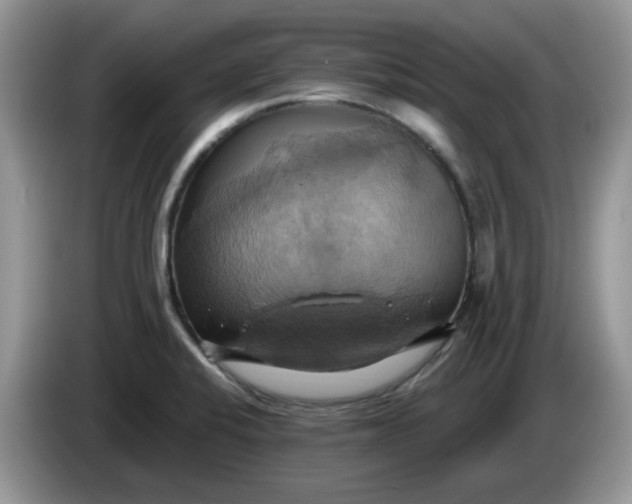 X0000086221424200704121849