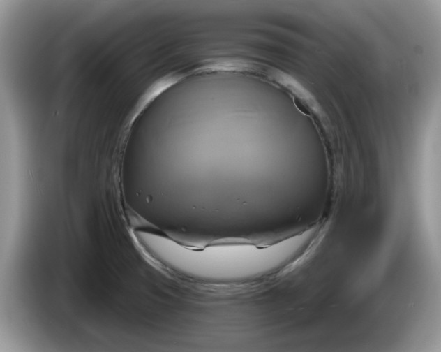 X0000086221425200704121849