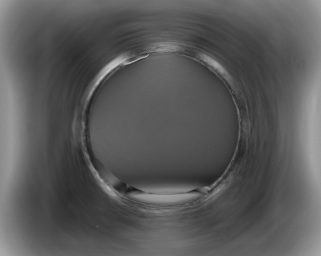 X0000086221426200704121849