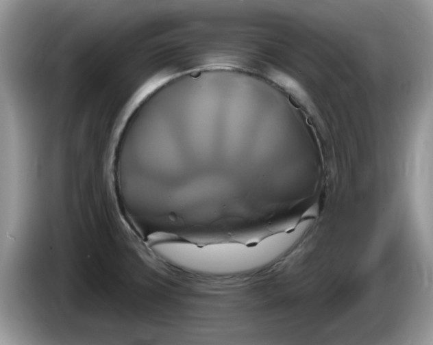 X0000086221427200704121849