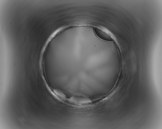 X0000086221429200704121849